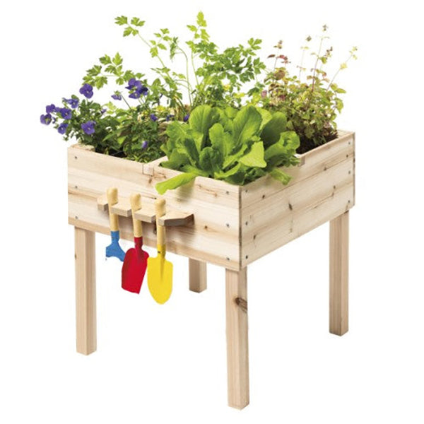 OXYBUL - Carré potager en bois