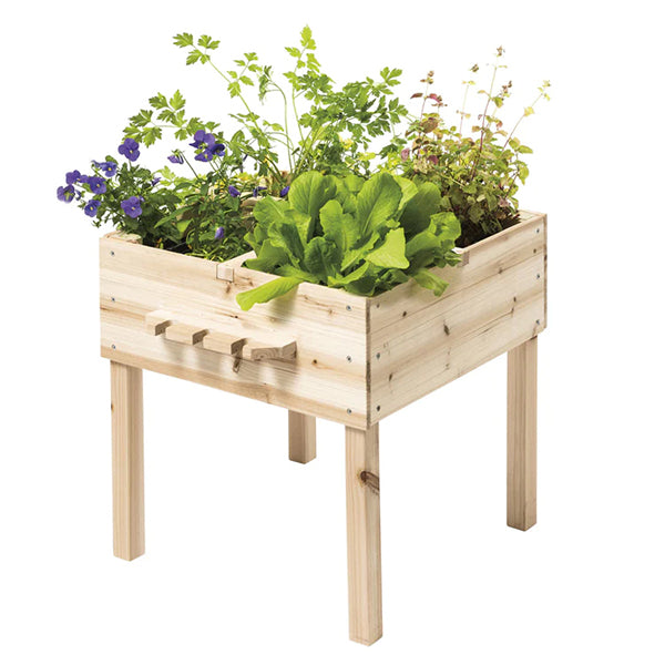 OXYBUL - Carré potager en bois