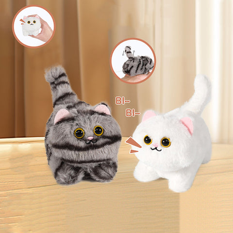 Chaton Secoue-Queue