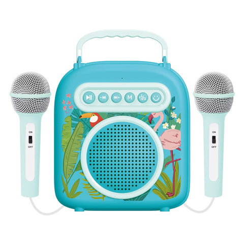 Enceinte karaoké avec 2 microphones