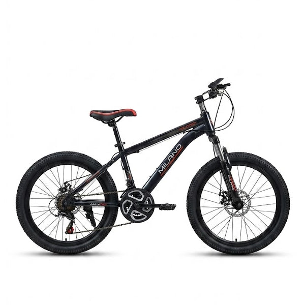 Vélo Milayo 20 pouce garçons