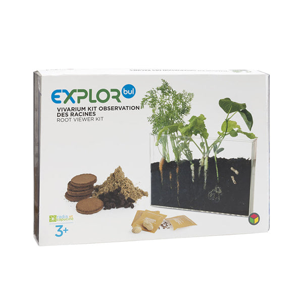 OXYBUL - Vivarium observation des racines