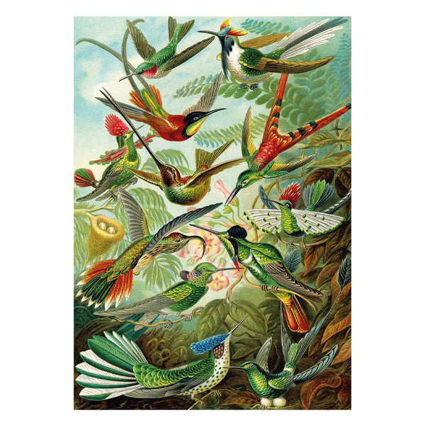 KS - Puzzle 1500 pcs - Hummingbirds