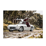 KS - Puzzle 1000 pcs - 300 SL Gullwing