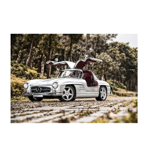 KS - Puzzle 1000 pcs - 300 SL Gullwing