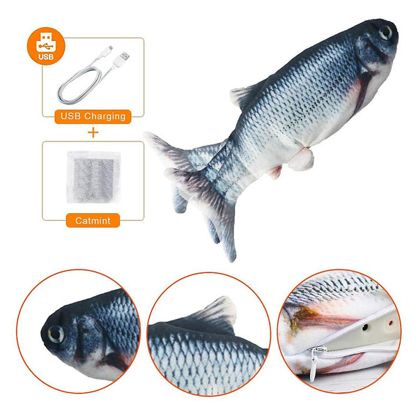 Poisson Tapoteur