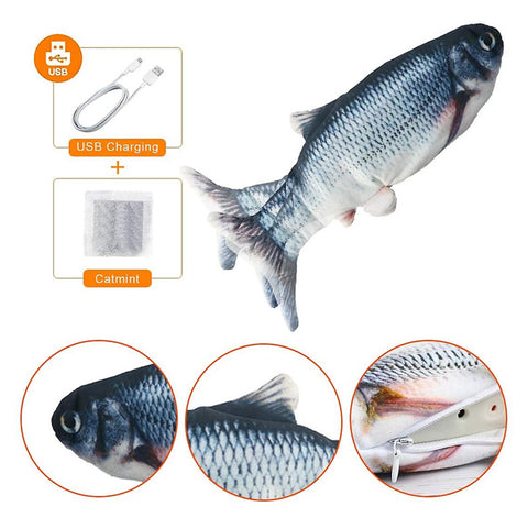 Poisson Tapoteur