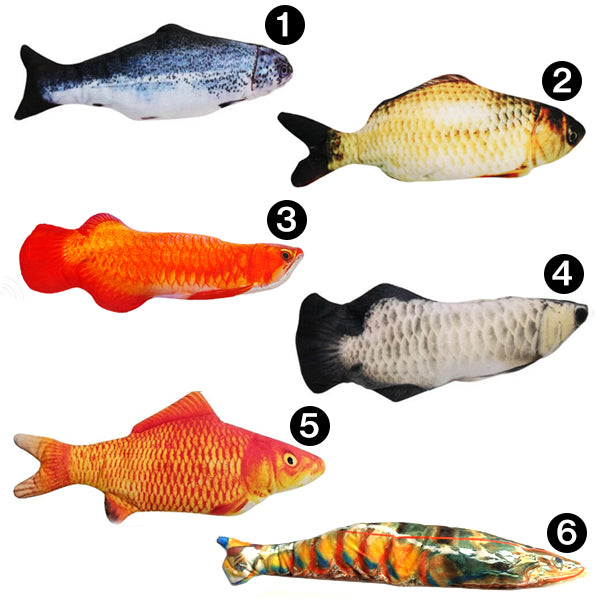 Poisson Tapoteur