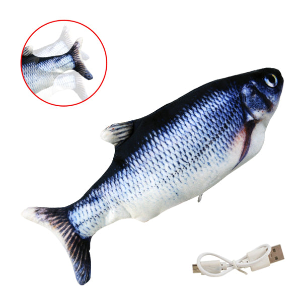 Poisson Tapoteur