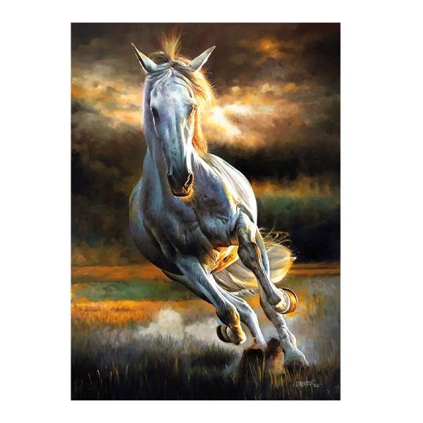 KS - Puzzle 500 pcs - White Storm
