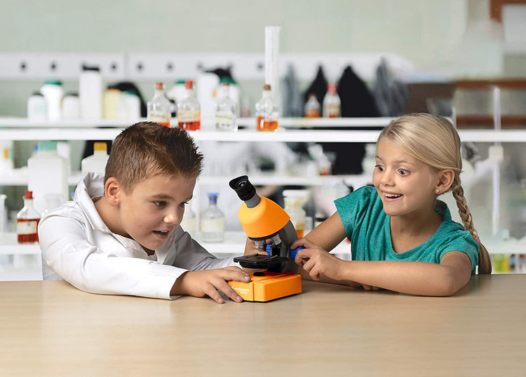 Microscope holographique