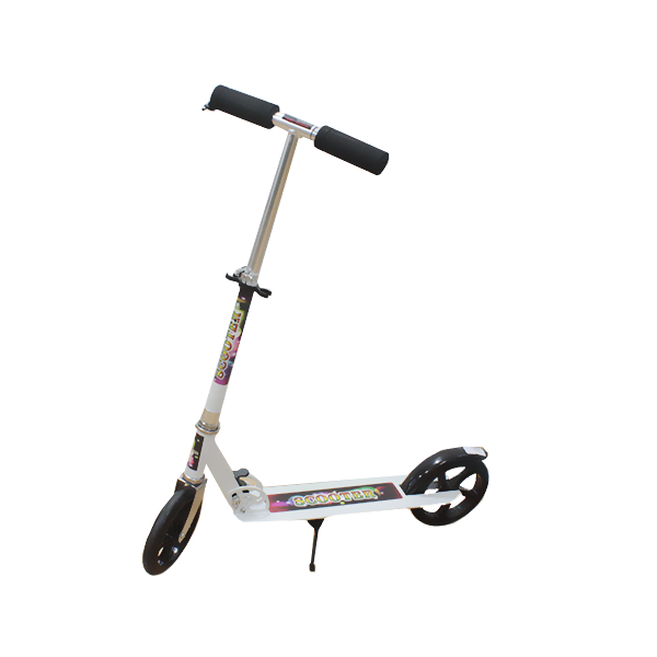 Trottinette 2 roues GM