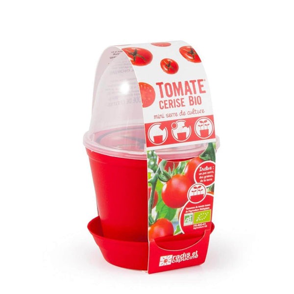 OXYBUL -  Pot Cloche pour Semis de Tomate Cerise