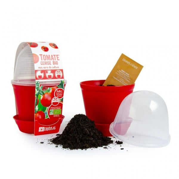 OXYBUL -  Pot Cloche pour Semis de Tomate Cerise