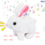 Petit lapin interactif