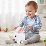 Petit lapin interactif