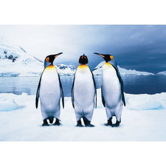 Puzzle Ks Animal Planet - Pingouin 100 pcs
