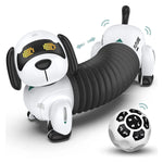 Robot Chien Dachshund