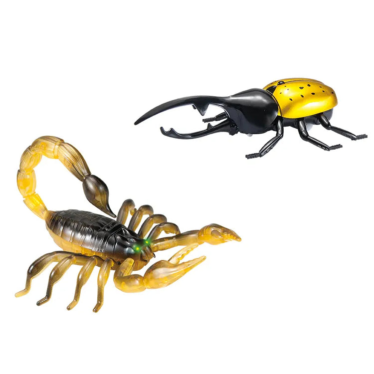 Scorpion et coccinelle R/C