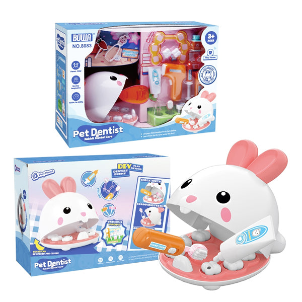 Set de dentiste lapin