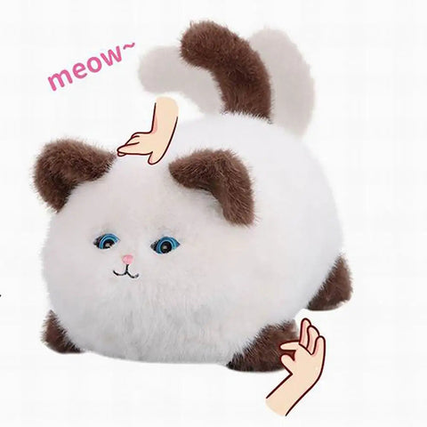 Peluche chaton vivant