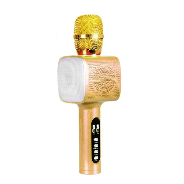 Microphone avec haut-parleur Hi-Fi