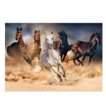 KS - Puzzle 1000 pcs - Wild Horses