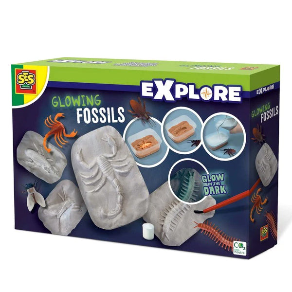 SES - Fossiles brillants