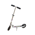 Trottinette 2 roues GM
