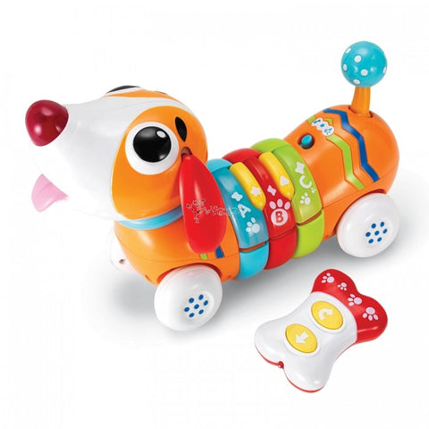 WINFUN - Chien coloré RC